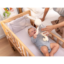 Load image into Gallery viewer, Betty co-sleeper