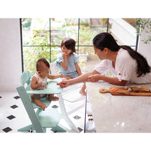 Load image into Gallery viewer, Syt high chair